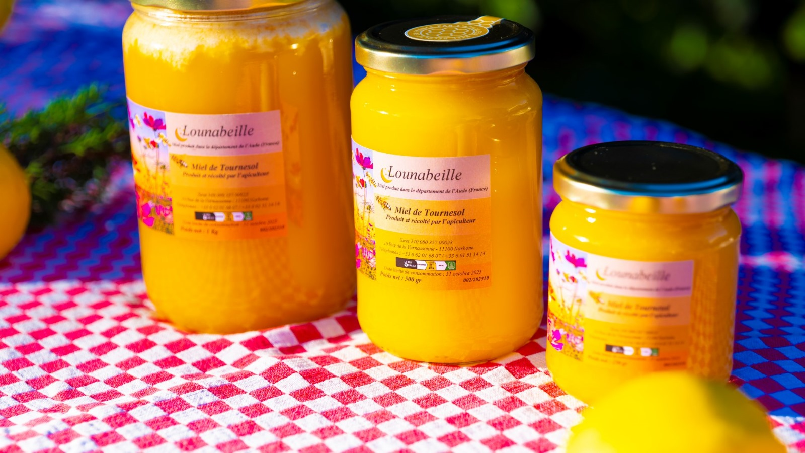 Miel de tournesol